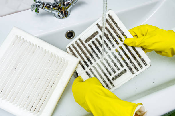 Best Duct Cleaning for Homes  in USA